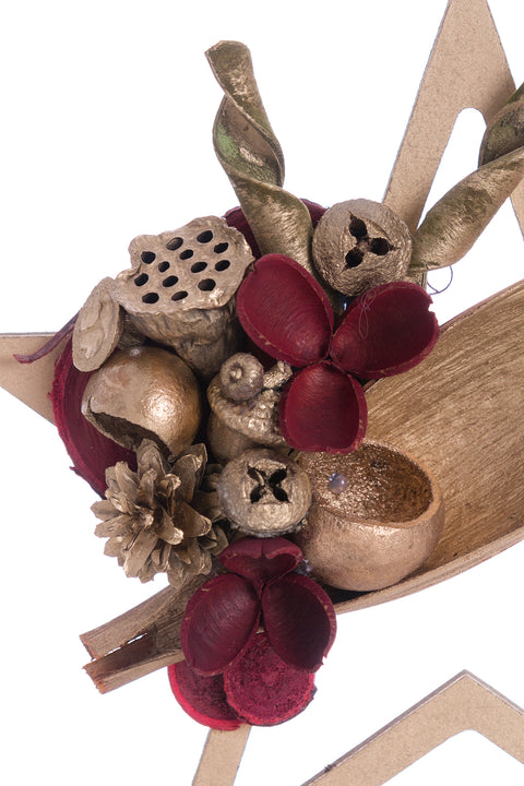 Talk of the Town ChristmasStar