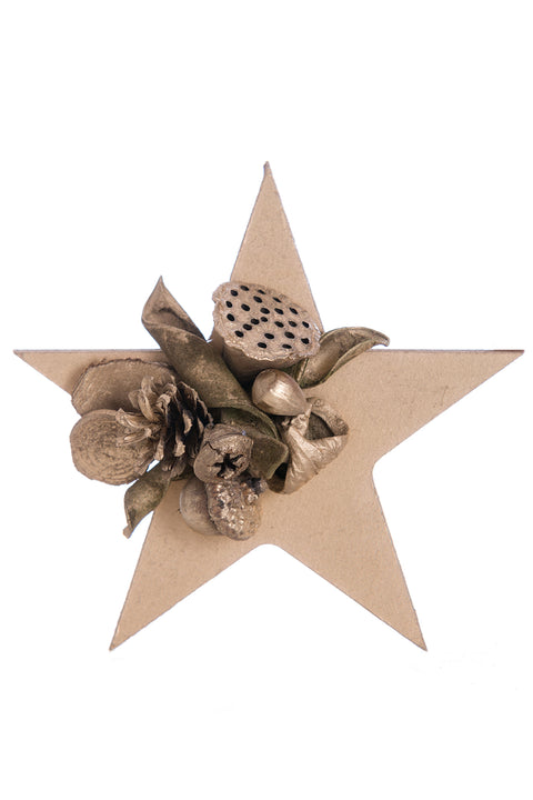 Wish-Full ChristmasStar